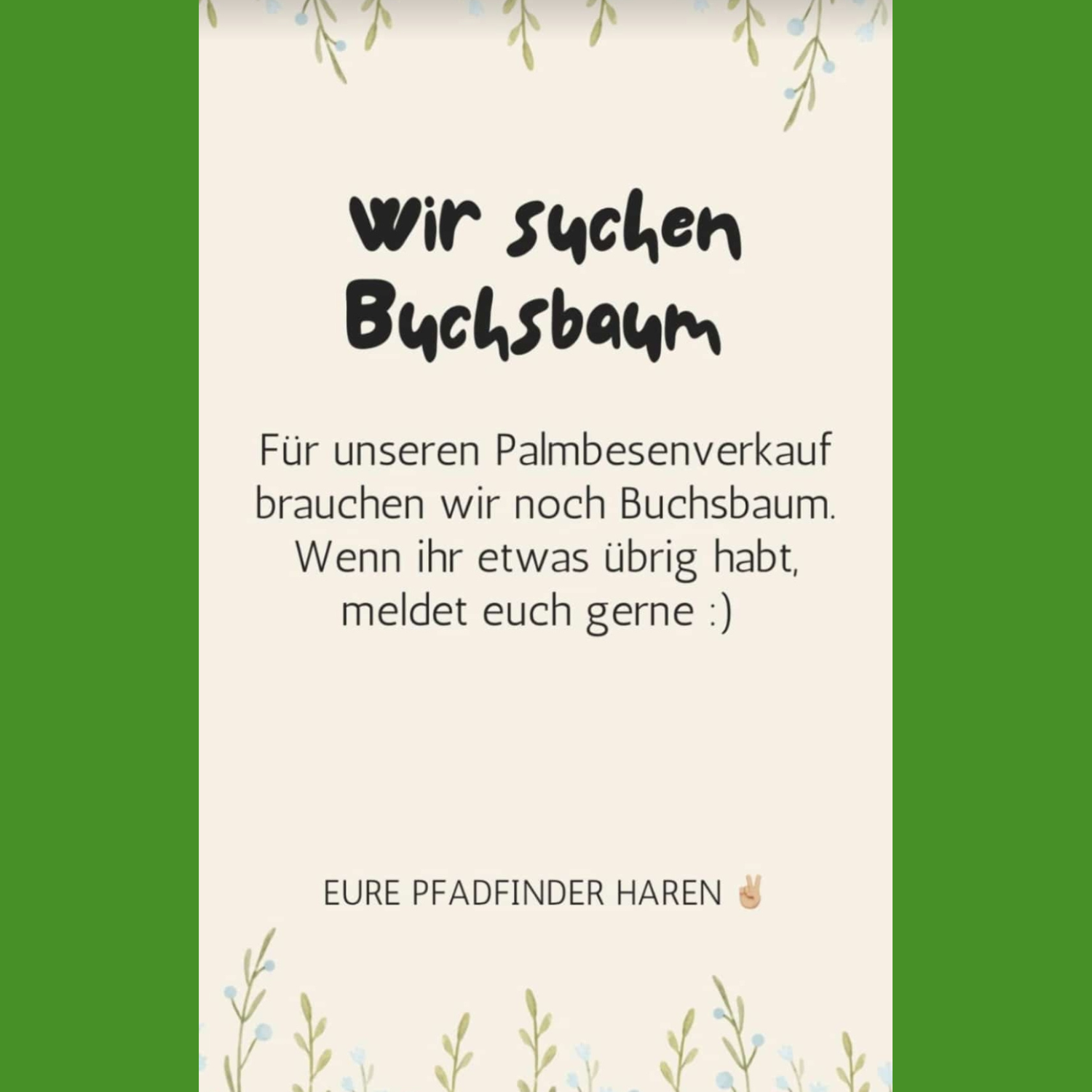 Die Pfadfinder Haren suchen Buchsbaum für den Verkauf von Palmbesen